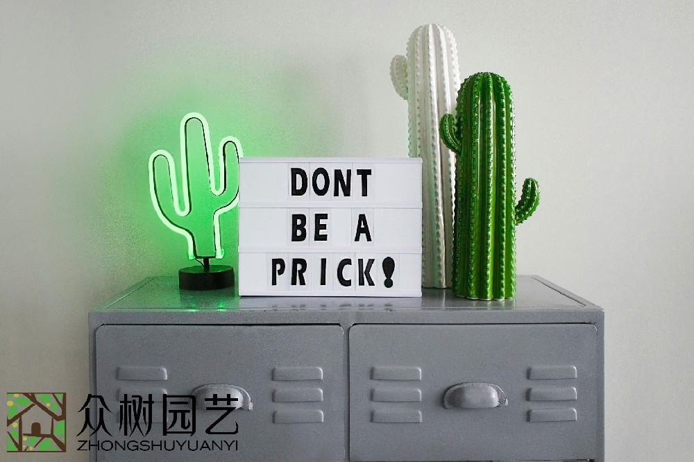 蘇州辦公室綠植租擺費用詳解：挑選最優(yōu)質(zhì)、最劃算的環(huán)境美化方案